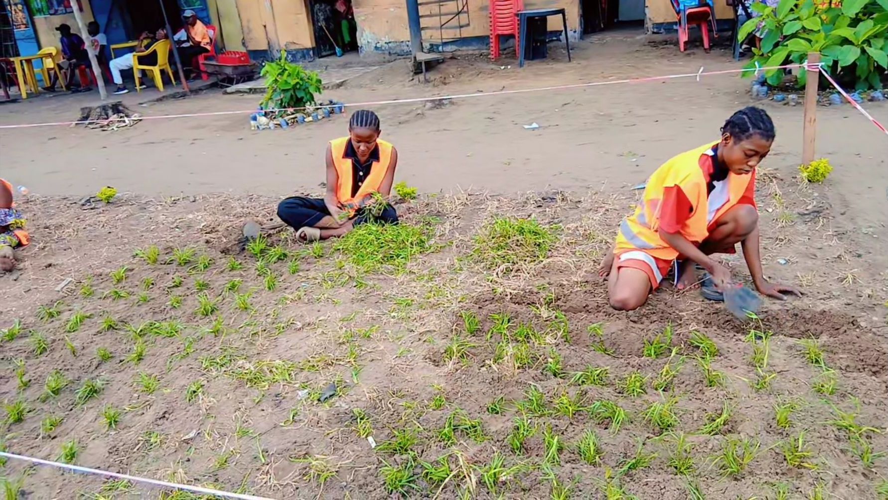 Plantation de l'espace vert le long du boulevard Maître Croquez.